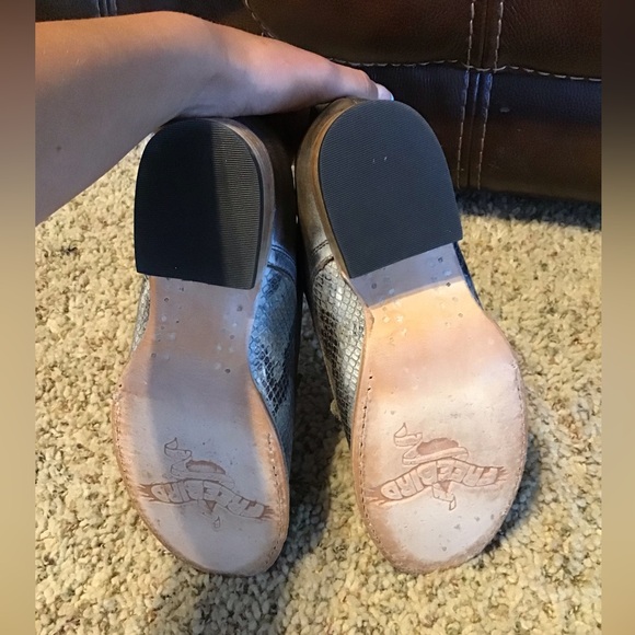 Free bird shoes brand new - Picture 2 of 4